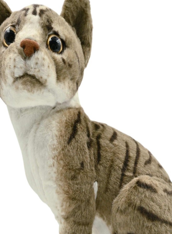 DTR Creation Cat 27 CM Soft Toys for Kids | Plush Soft Toys for Baby Boys and Girls| Best Gift | Cat Soft Toy for Kids -Brown/White 27 Cm Height - Image 5